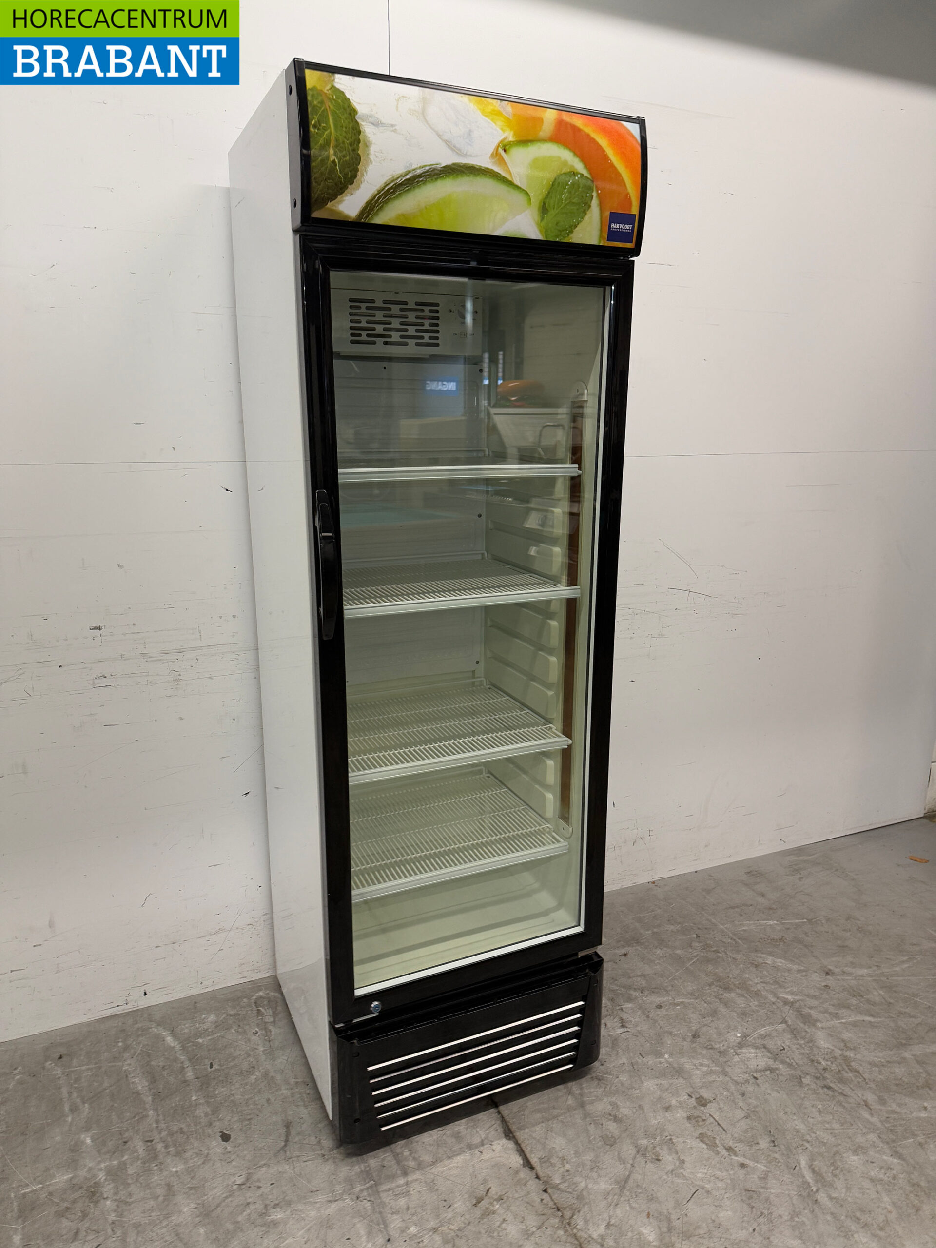 Hakvoort Kühlung Glastürkühlschrank 336 Liter 230V Horeca – Bild 3